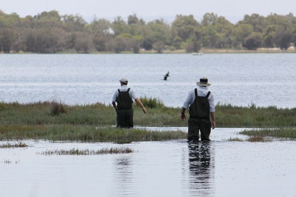 Image: Shane Chalker